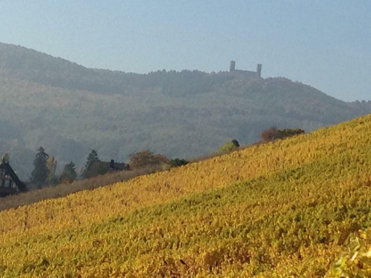 D'hôtes Chez Martine