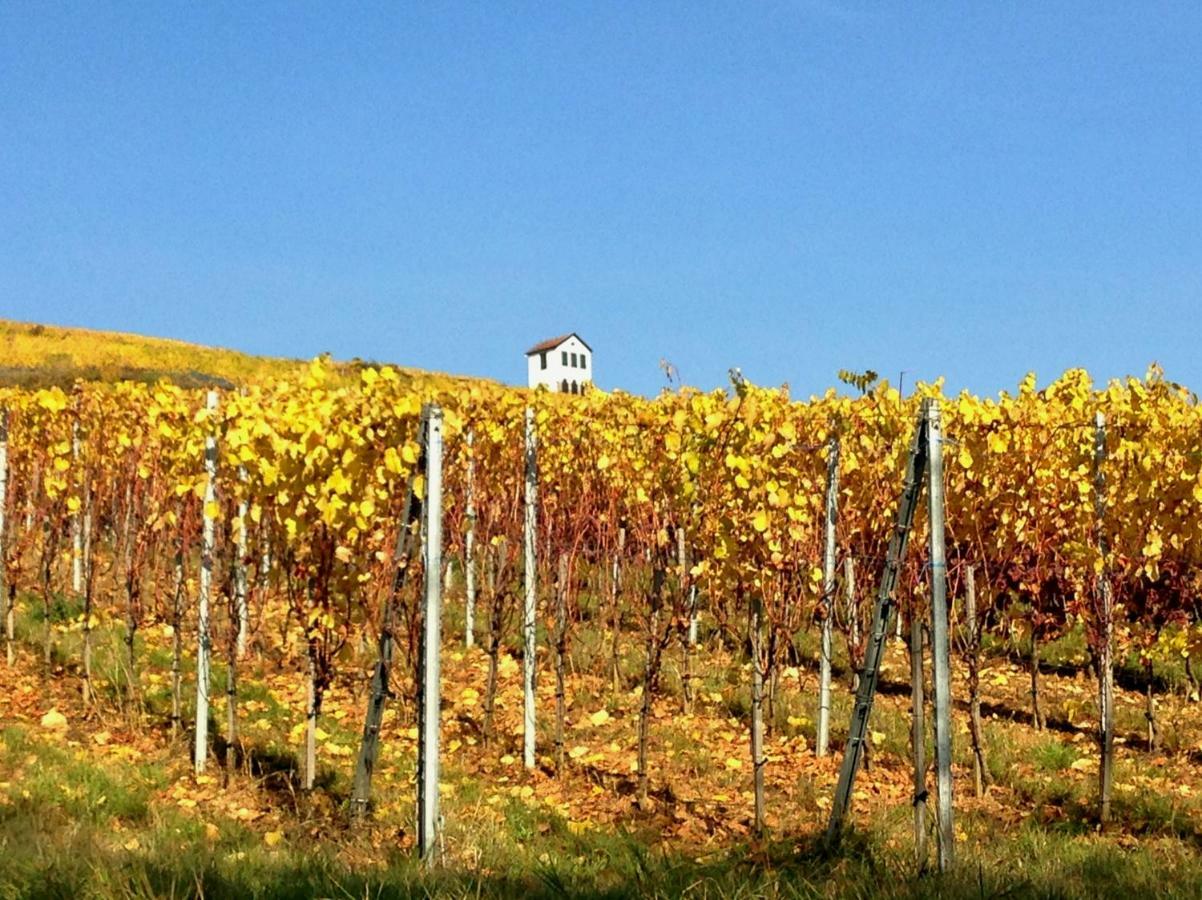 Frühstückspension D'hôtes Chez Martine